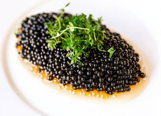 edraant_prato_de_caviar_--ar_43_--stylize_0_--v_6.1_6526f179-6e56-4d49-936f-08902be7c15e_3