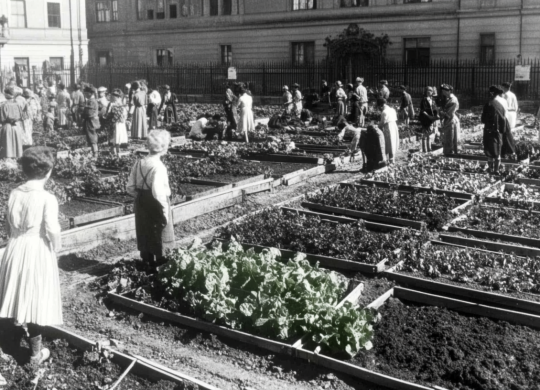 edraant_milhes_de_britnicos_a_cultivar_alimentos_em_1940_foto_7b21f0f9-c740-4e64-ad22-b2d3b0133442_3